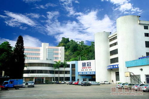 强化功能性母料创新，赋能顺德新材料产业高质量发展