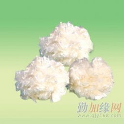 改性纤维球与慧星式纤维束滤料生产工艺的对比研究——恒兴水处理材料厂功能性母料应用解析
